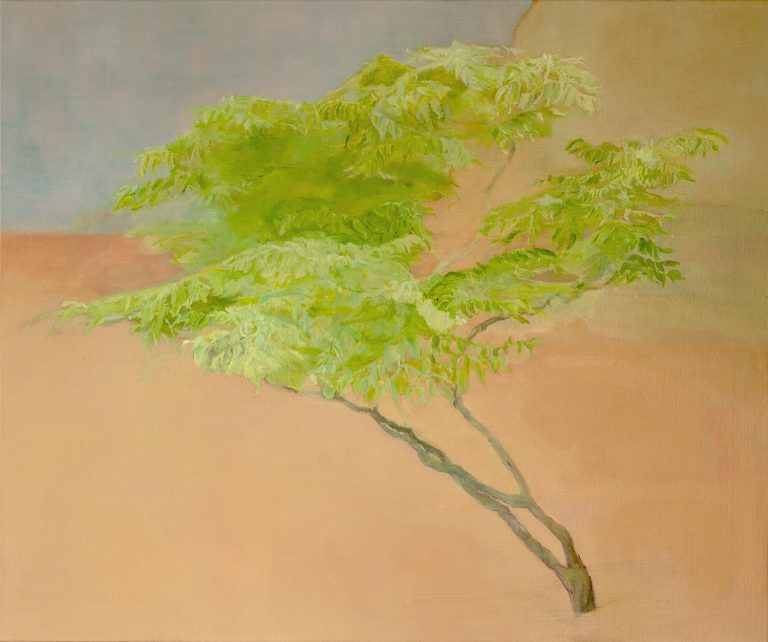 Angelica Tree