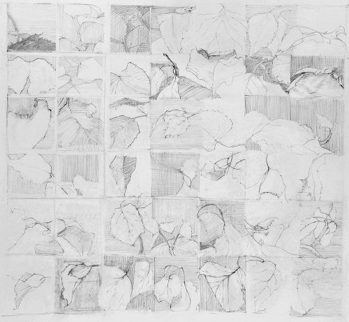 Work Sheet